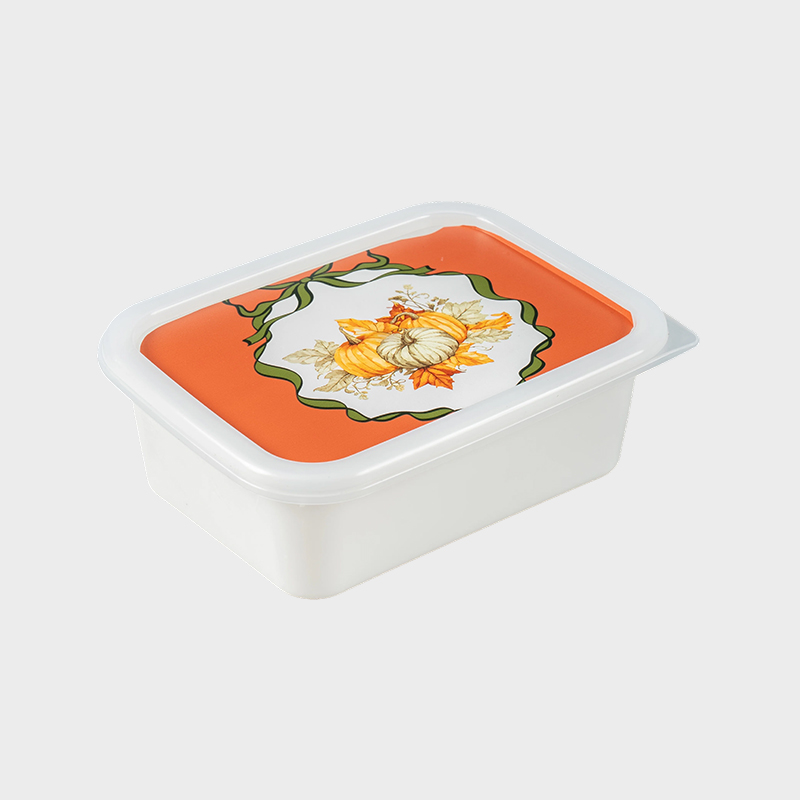 جعبه ذخیره سازی پلاستیکی PFB067